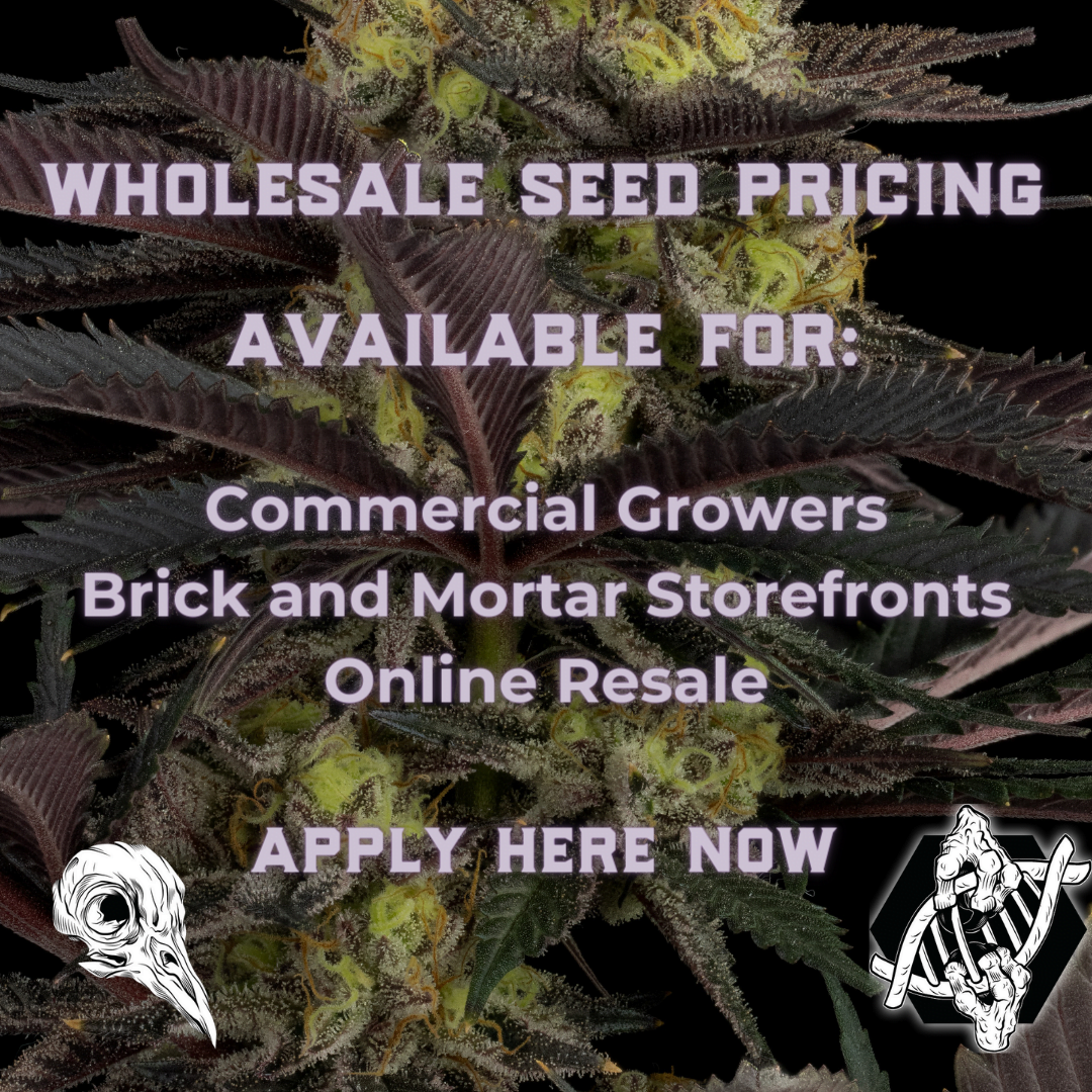 Seed Wholesale pricing