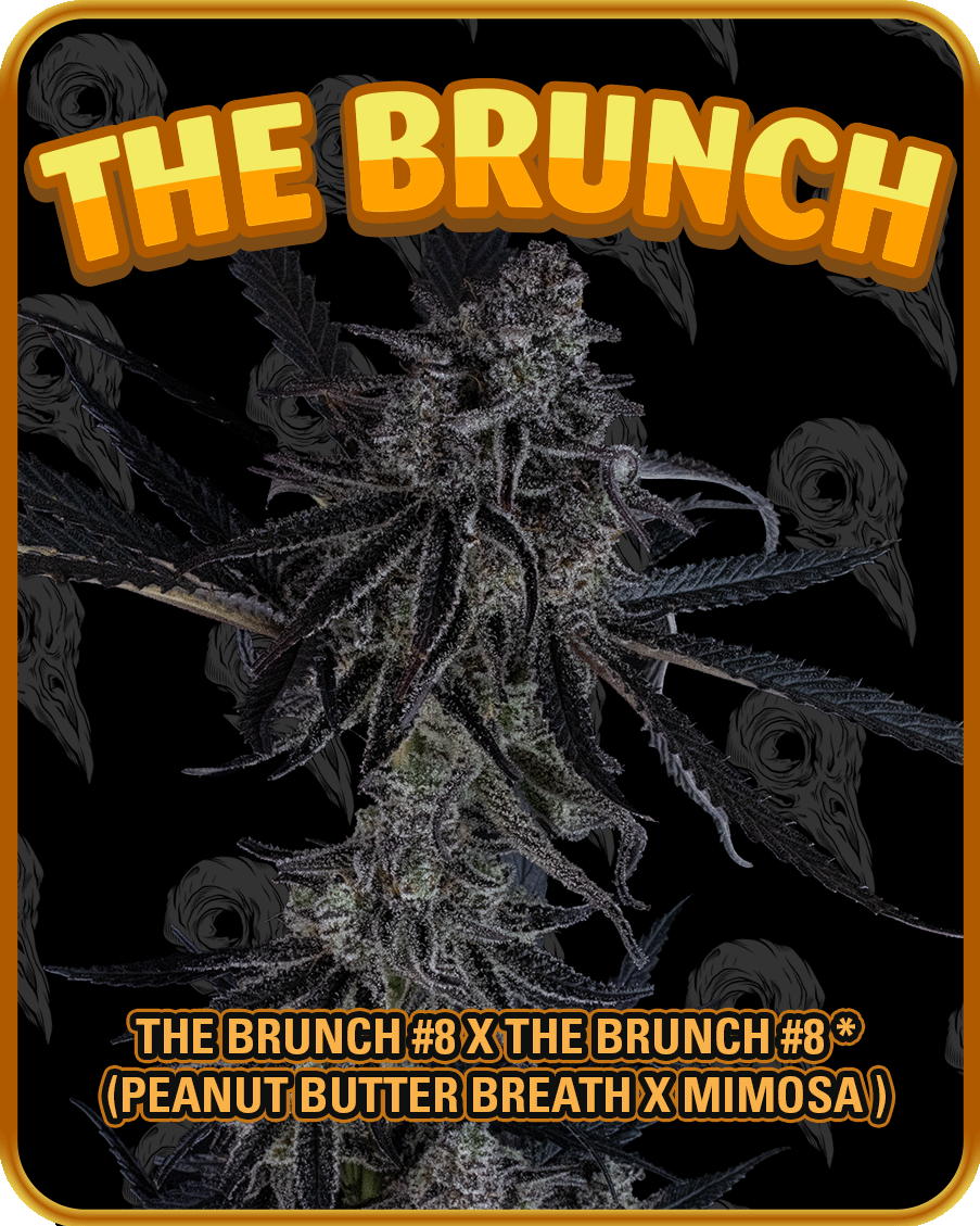 the brunch