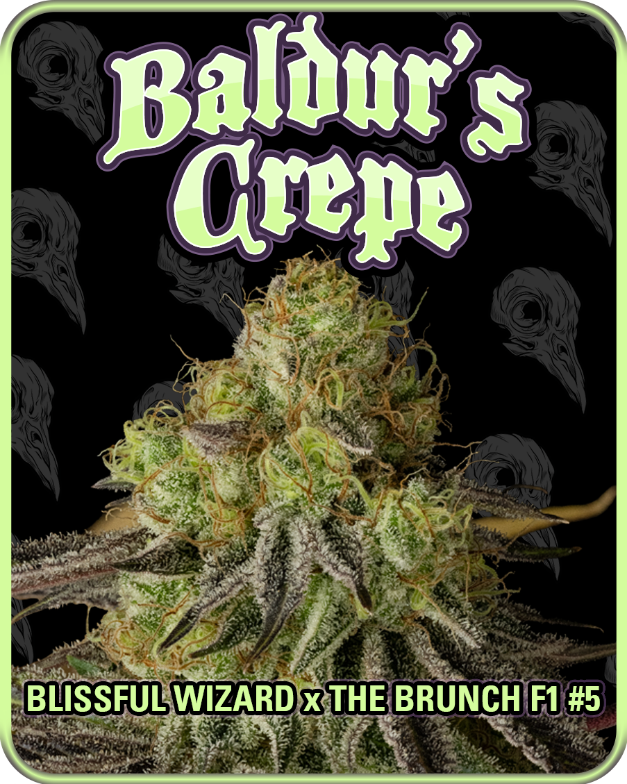 baldur's crepe, illustration box art